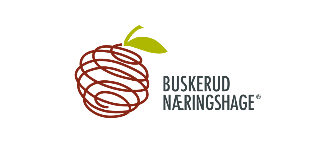 Buskerud Næringshage