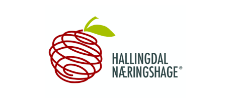 Hallingdal Næringshage